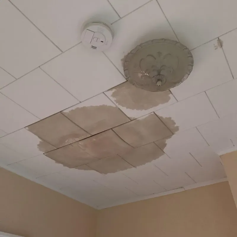 Ceiling Water Damage Repair in Rowlett, TX