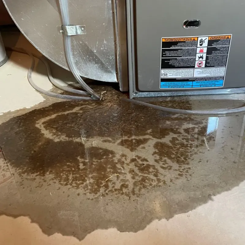Pipe Burst and Leak Restoration in Rowlett, TX