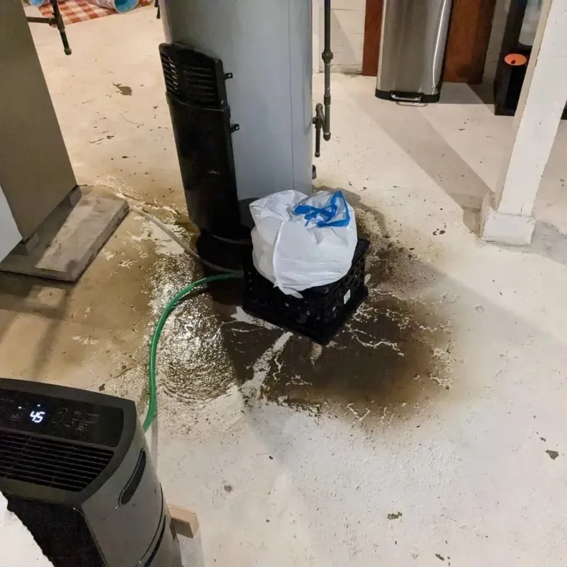 Sewage Backup Cleanup Service in Rowlett, TX